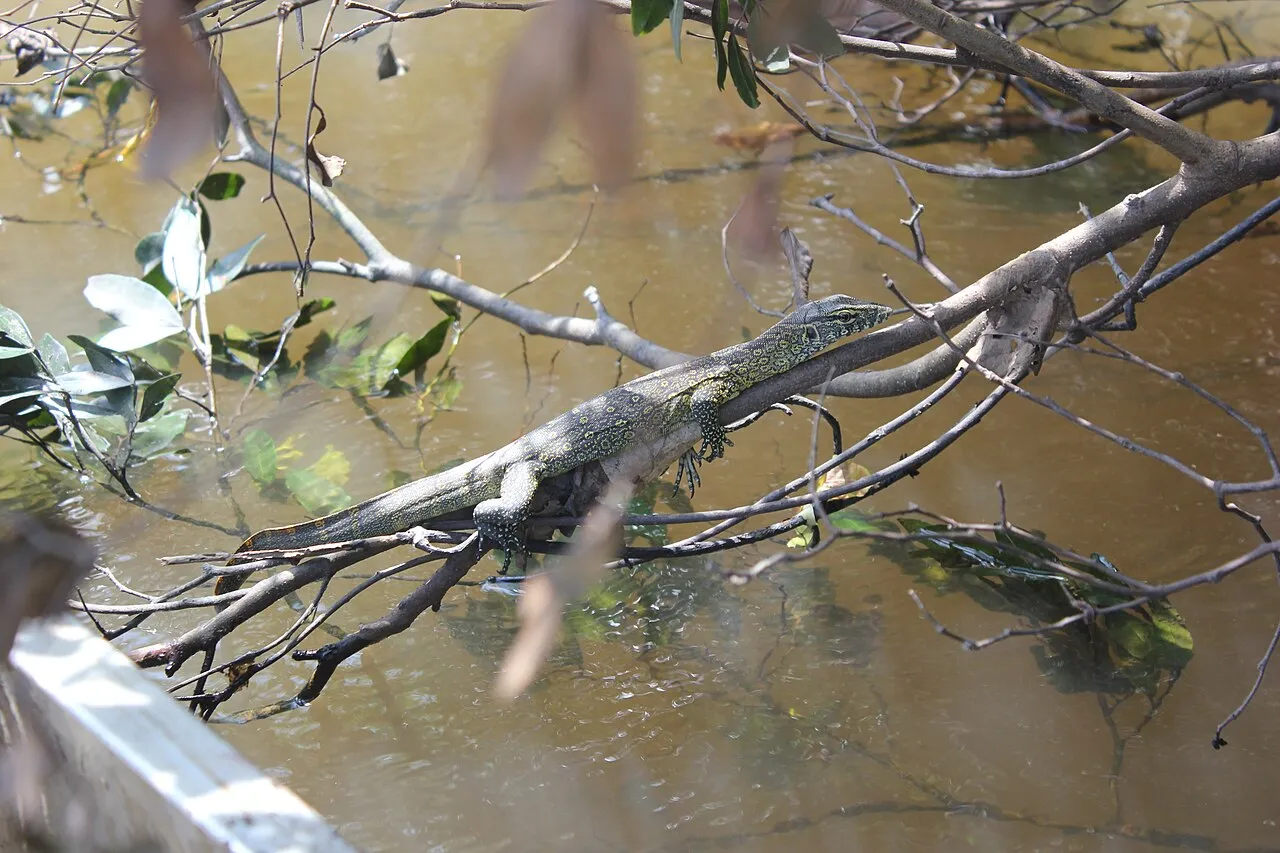 Outamba-Kilimi National Park