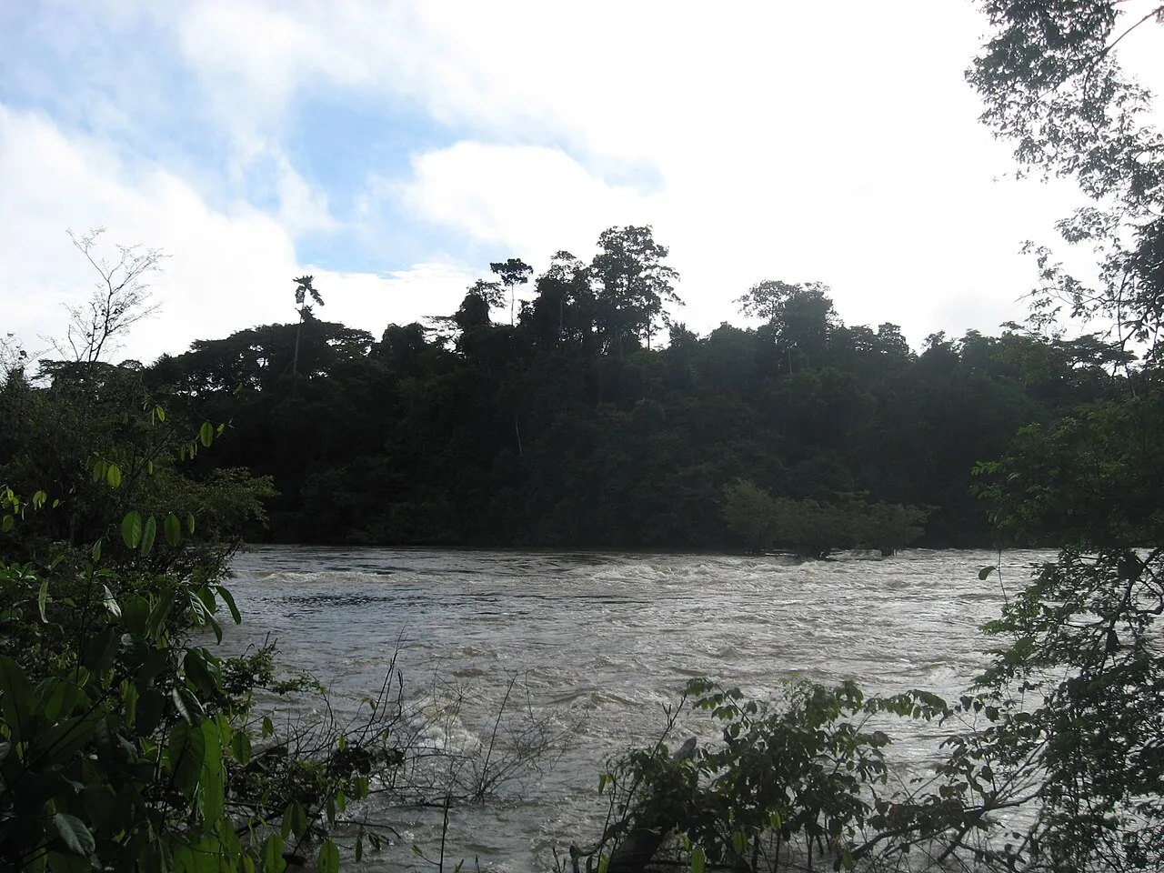 Tiwai Island Wildlife Sanctuary